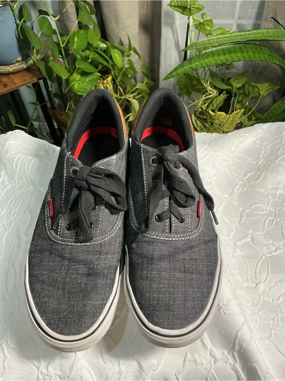Levi's Men's Blue Canvas Lace-Up Sneakers with Red Accent